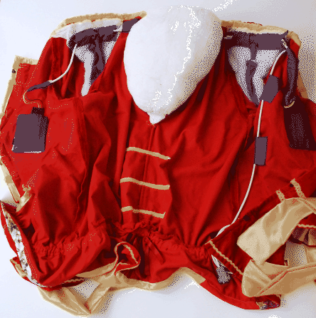 \includegraphics[width=0.8\textwidth]{images/012_Punch_jacket_inside.eps}